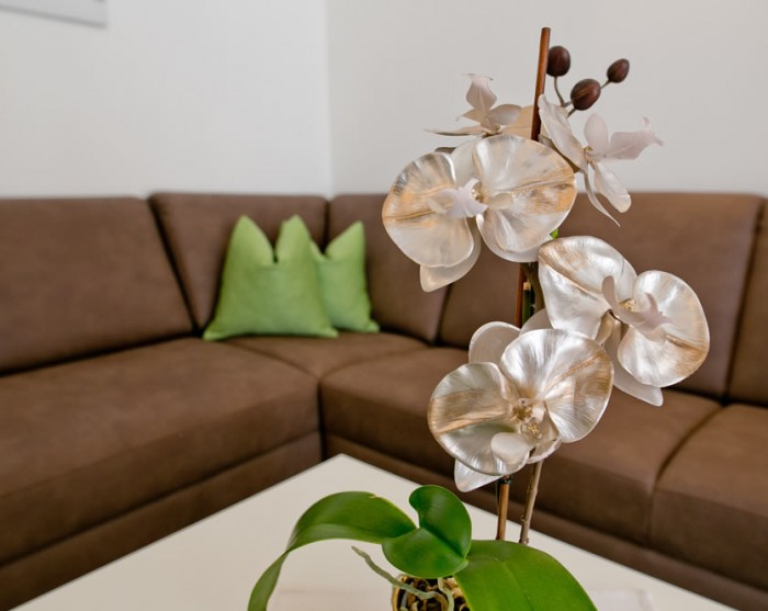 Wohnzimmer mit gemütlicher Couch