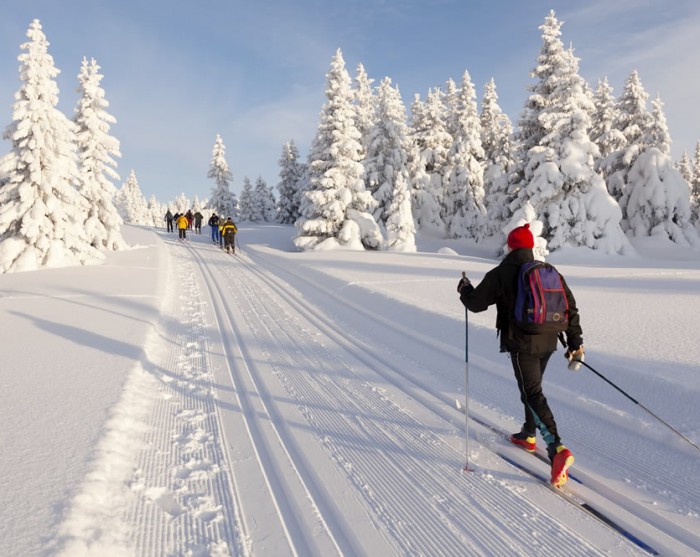 Top Bedingungen auf den Langlaufloipen in Eben im Pongau und Umgebung