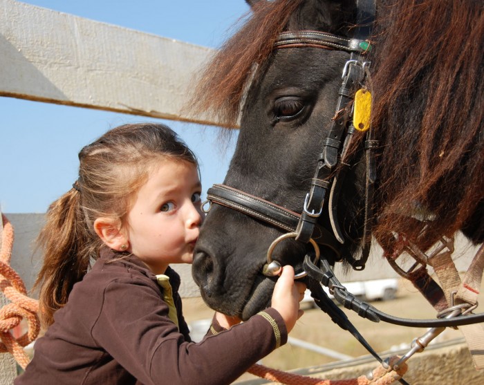Reiten für Kinder in Eben im Pongau